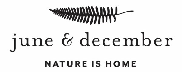 June & December logo with fern illustration