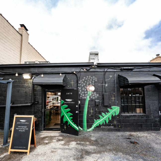Black building with dandelion mural and entrance.